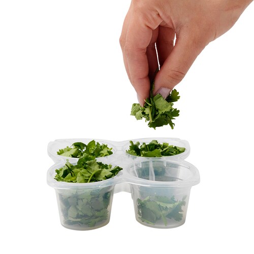 Herb Freezer Tray